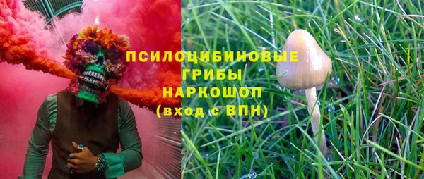 сатива Армянск