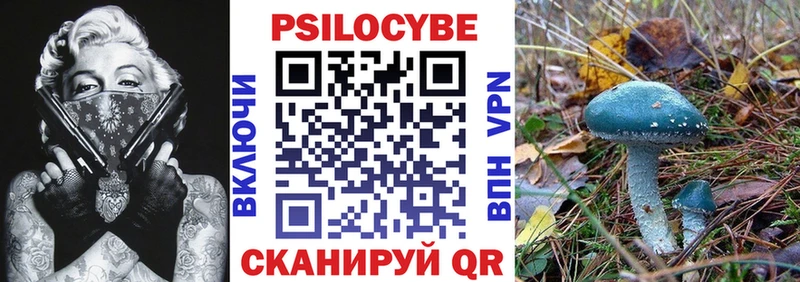 сколько стоит  mega как войти  Псилоцибиновые грибы GOLDEN TEACHER  Усинск 